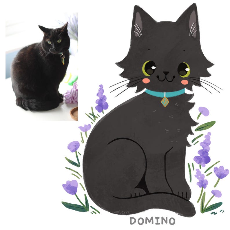 May include: A black cat with big eyes and a turquoise collar sits in a field of purple flowers. The cat's name is "DOMINO".