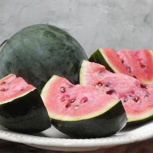 Organic Sugar Baby Watermelon Seeds - Harvested from Watermelons grown in Organic Potting Soil [Non-GMO]