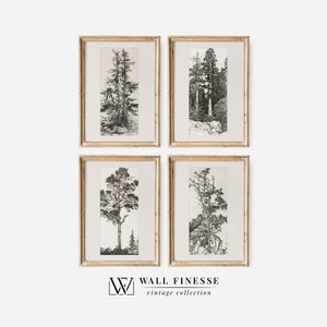 Vintage Galerie-Wand-Druck-Set | Baum Skizzen Radierung | 4er-Set Kunststücke | Digitaler Download