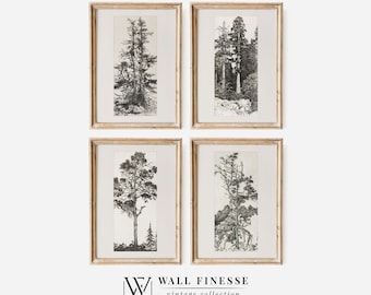 Vintage Gallery Wall Print Set | Tree Sketches Etching Print | Set of 4 Art Pieces | Digital Download