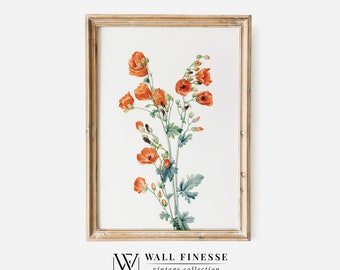 Impresión antigua de planta de amapola / Pintura botánica vintage / Decoración rústica de granja / Impresión digital