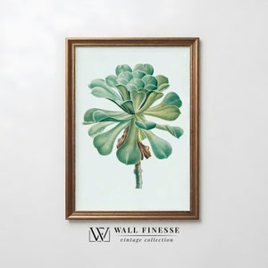 Antique Botanical Succulent Print | Vintage Botanical Painting | Rustic Farmhouse Decor | Printable Digital