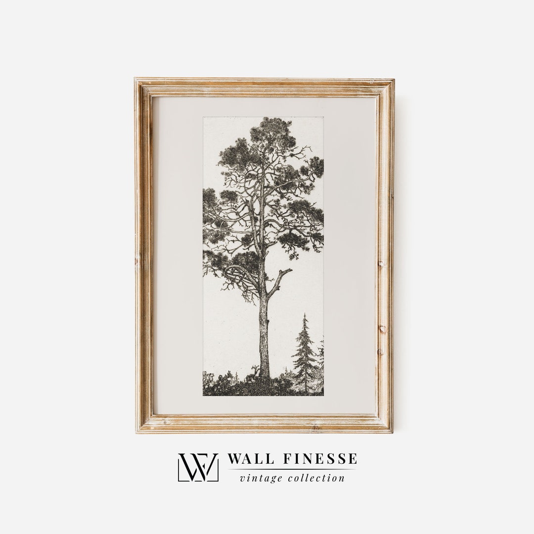 Rustic Pine Tree Print | Sketch Wall Art | Printable Digital | Digital ...