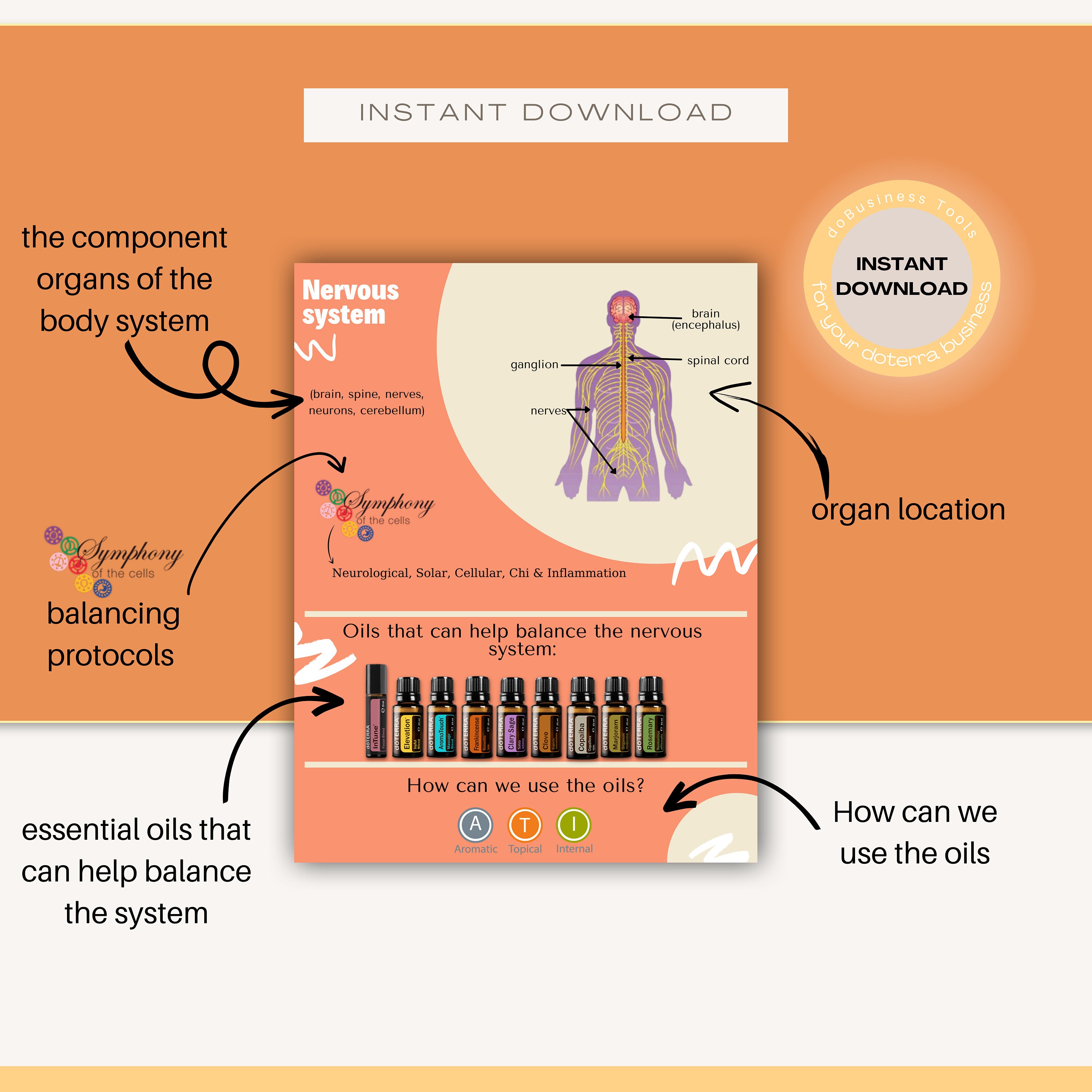 Guide Book Body Systems Essential Oils Ebook Doterra Guide Essential