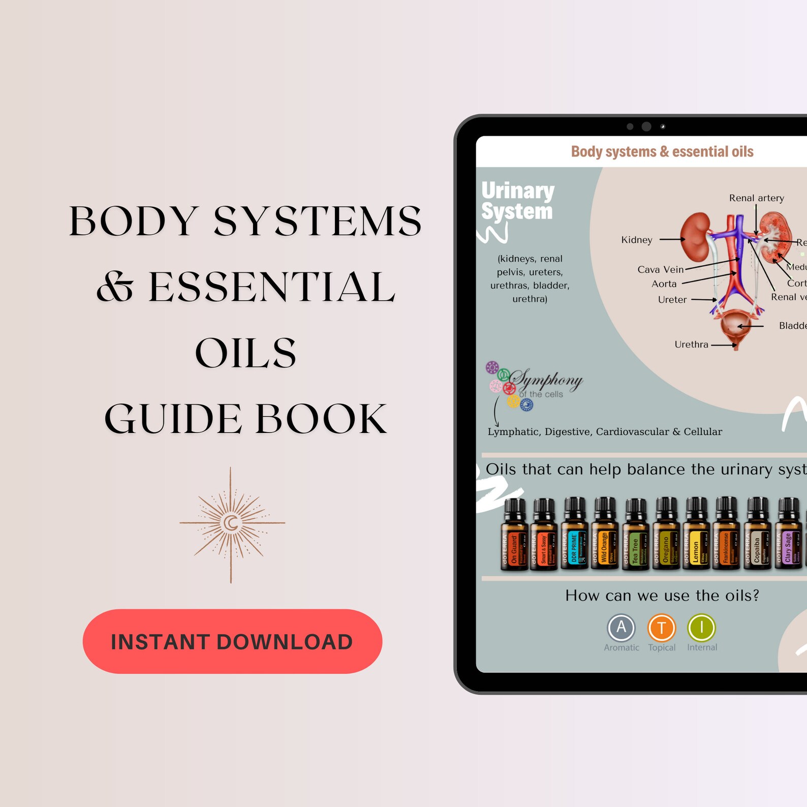 Guide Book Body Systems & Essential Oils Instant Download Etsy