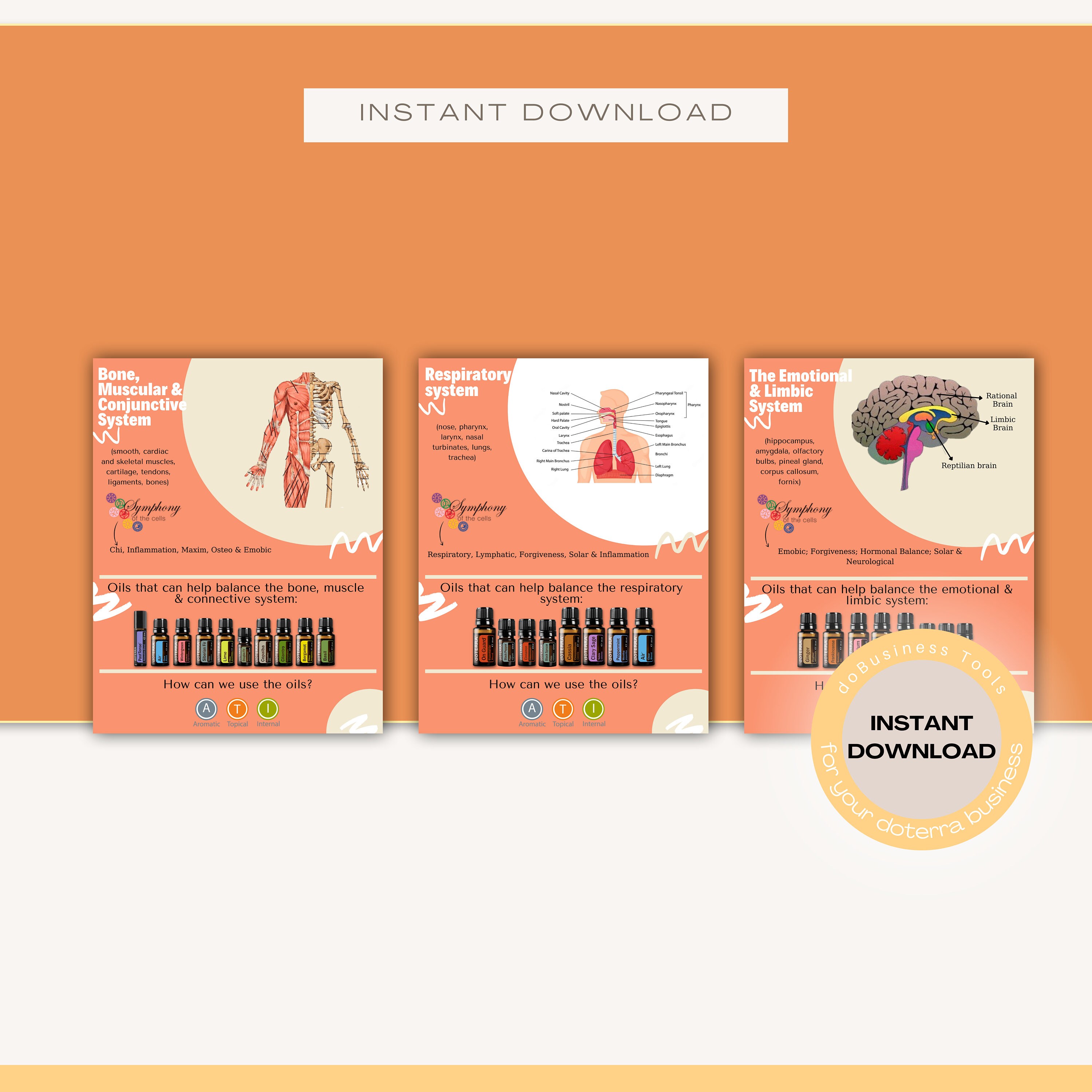 Guide Book Body Systems Essential Oils Ebook Doterra Guide Essential