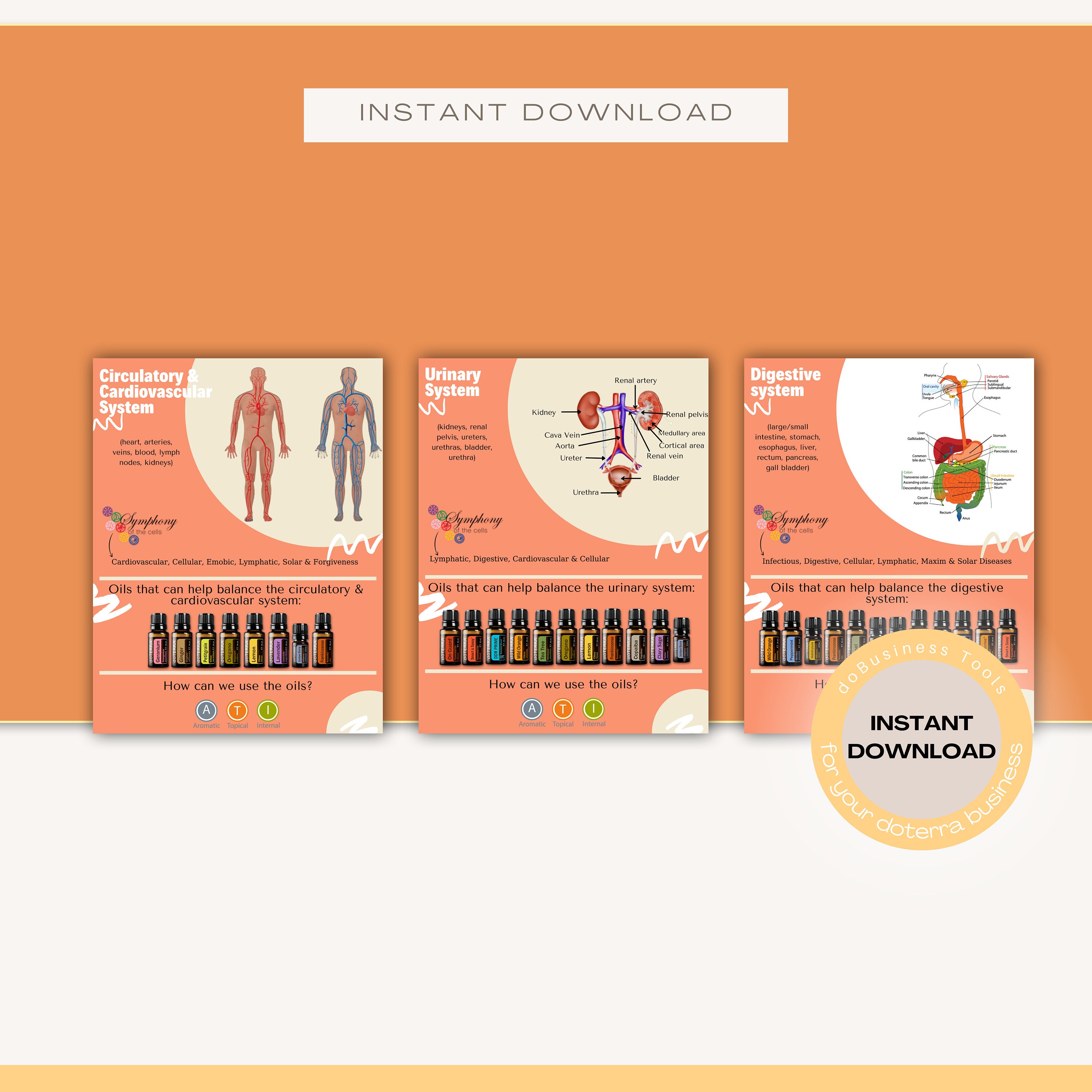 Guide Book Body Systems Essential Oils Ebook Doterra Guide Essential