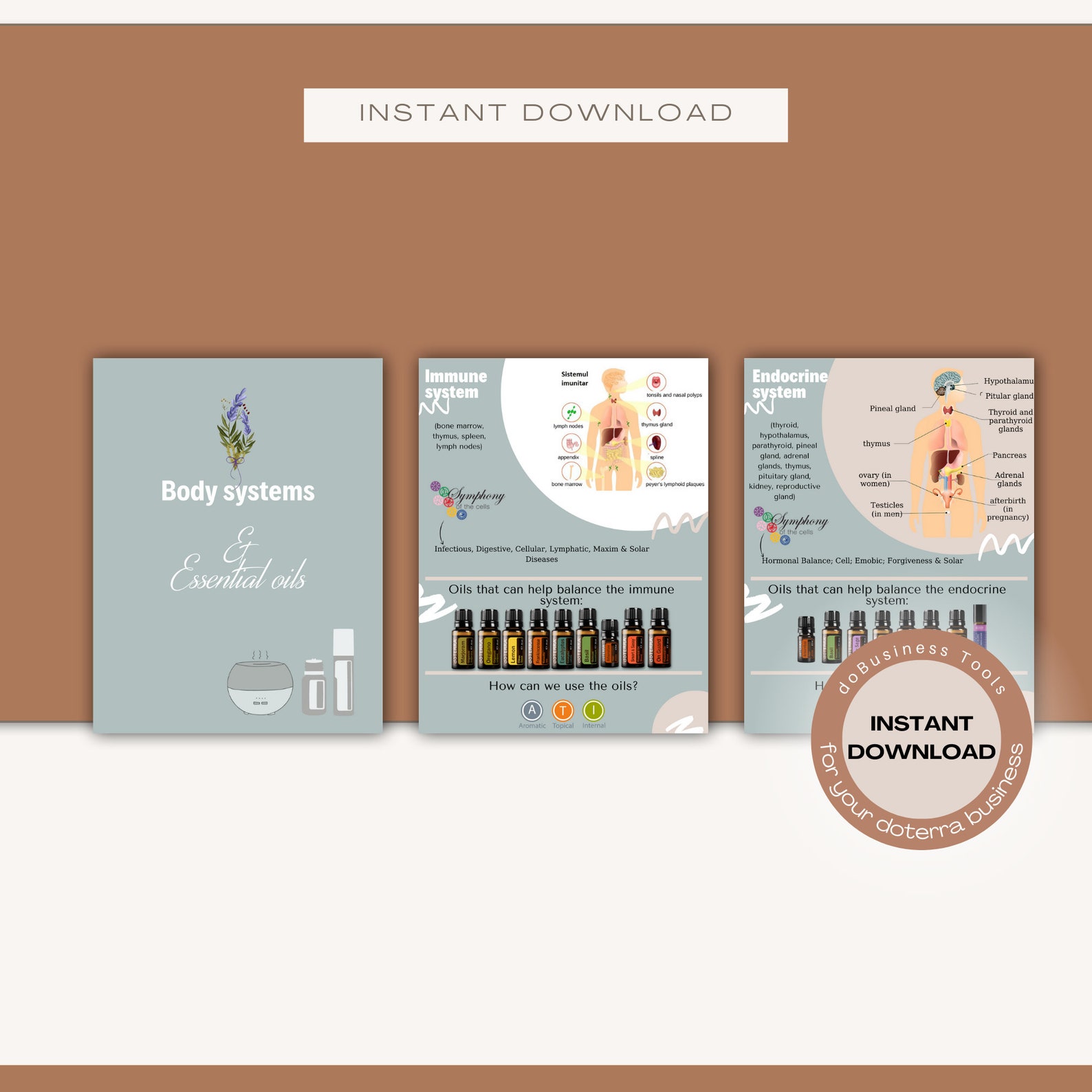 Guide Book Body Systems & Essential Oils Instant Download Etsy