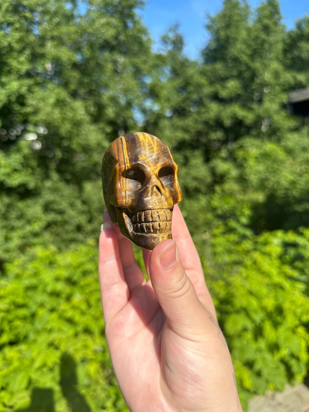 タイガーアイの頭蓋骨 - Etsy 日本