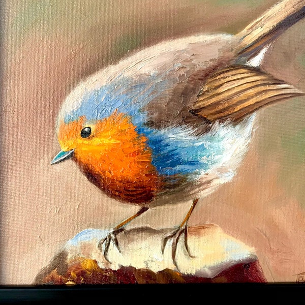 Original Animal Bird Robin unique oil painting, Birds Art Ready to hang