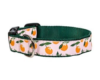 Orange Blossom Peach Pink Green Floral Flowers Handmade Dog Collar With Plastic Side Release Buckle