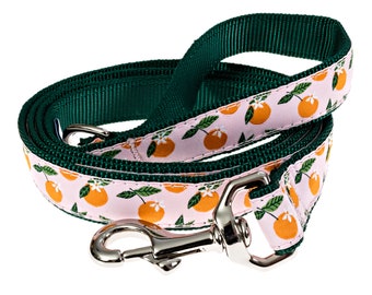 Orange Blossom Peach Pink Green Floral Flowers Handmade Nylon Webbing Dog Leash With D-Ring