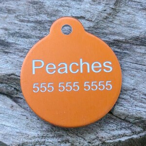 May include: Orange round pet ID tag with white text that reads "Peaches" and "555 555 5555".