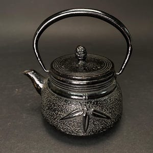 Japanese Tetsubin Nanbu Tekki, Leaf Pattern Teapot Cast iron TEA KETTLE signed, Vintage Teapot, Antique Japan, tea kettle, brush pattern