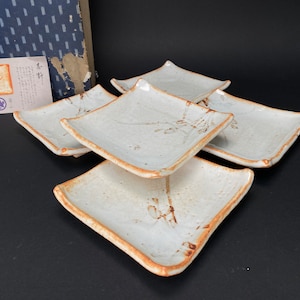 Seltenes Shino Ware Set mit 5 Tellern, kleine Teller von Shozan, Square Dish, Mino Ware Dessert Schalen mit Co-Box