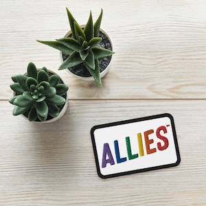 Puede incluir: Un parche rectangular blanco con borde negro y la palabra "ALLIES" en colores arcoíris. Dos suculentas en macetas están en el fondo.