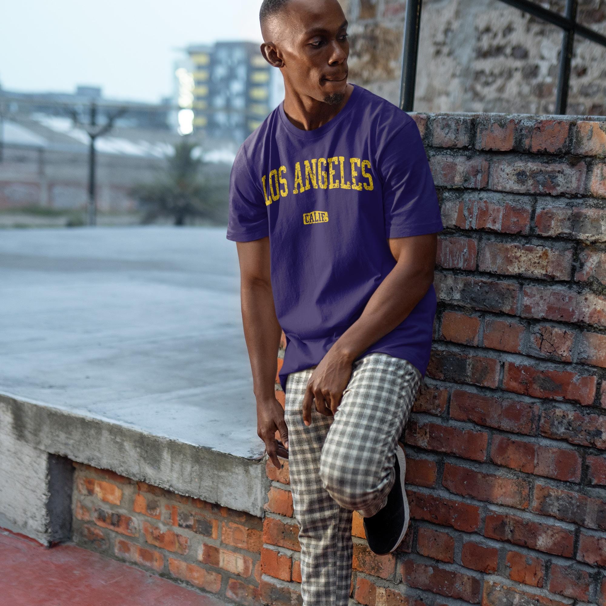 Los Angeles T-shirt | Retro LA Tee | Vintage California Gift for