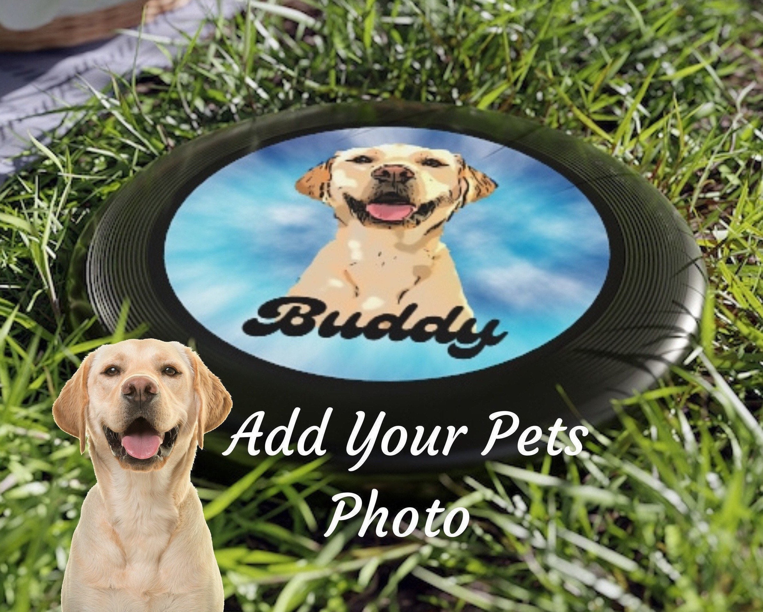 Personalized Pet Photo Frisbee Customized Dog Frisbee Personalized Dog ...