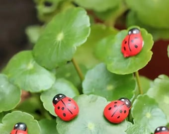 10 x Ladybird peel & stick miniature wooden decorations Plant pot decor Attach to garden or plant projects for a fun cute decoration detail