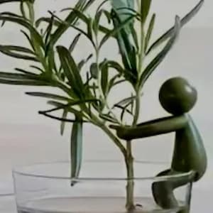 Könnte beinhalten: Eine grüne Figur hält eine Topfpflanze mit Rosmarin, deren Wurzeln in einer durchsichtigen Glasvase wachsen.