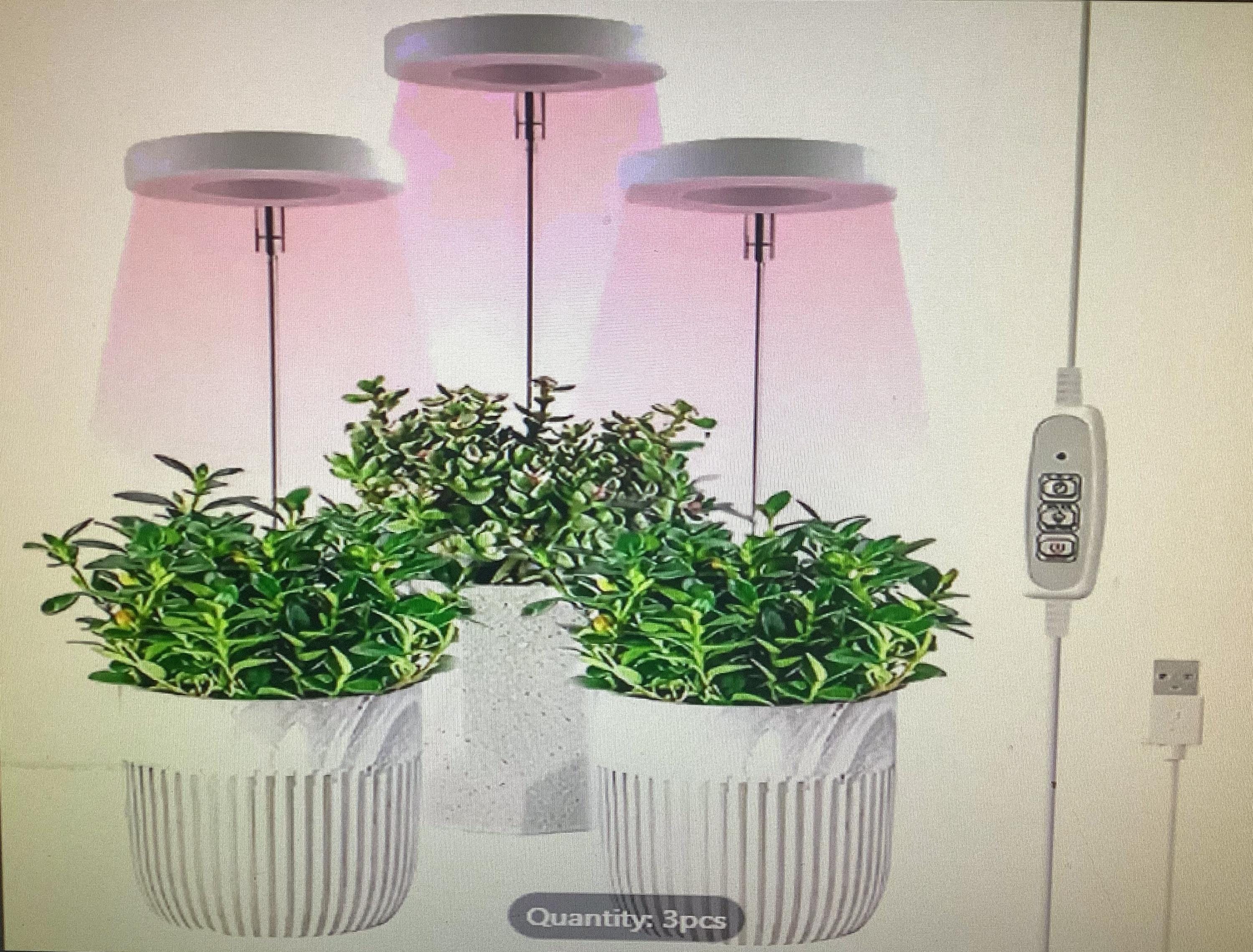Monstera electro light - Etsy 日本