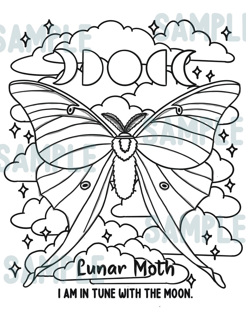 Magical Moon Moth Coloring Page - Etsy UK