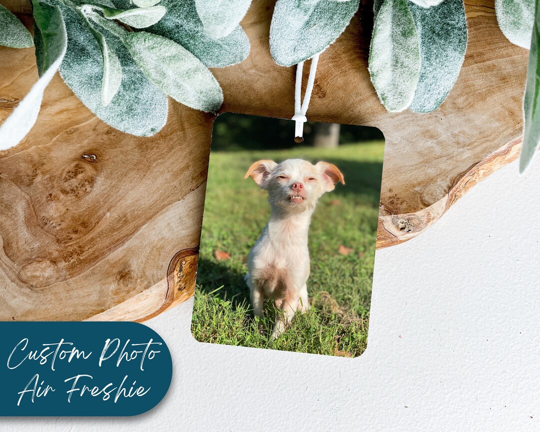 Custom Air Freshener, Dog Photo Air Freshener, Pet Photo Air Freshener