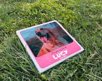 Dog Memorial Stone | Personalized Pet Remembrance Stone, Custom Engraved Dog Tribute, Garden Decor & Sympathy Gift for Pet Lovers