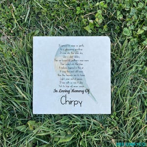Personalized Bird Memorial Stone for Lost Pet - Custom Name painting , UV Printed on Durable Limestone, In Loving Memory Tribute Gift