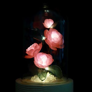 Peut inclure: Une cloche en verre avec une base en bois, contenant une délicate composition de fleurs roses avec des lumières incandescentes à l'intérieur.