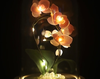 Handmade Moth Orchid Phalaenopsis Flower lamp, Phalaenopsis Home Decor Night Light, Flower Dome Wedding Floral Decoration, Unique Gift