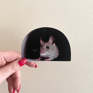 Realistic Mouse Hole Sticker 4” Prank FREE SHIPPING