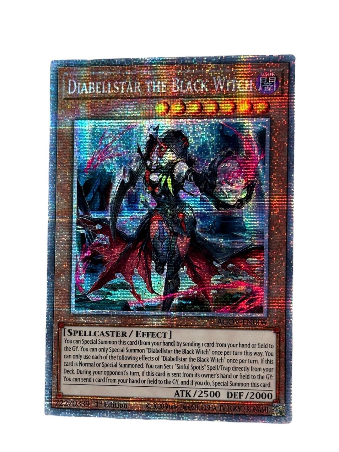 ビカクシダ　P.Stella Aeterni OC ビカクシダ P.Stella Aeterni OC