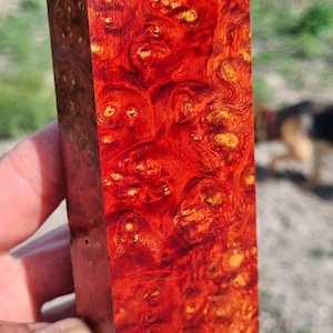 Amboyna Burl Stabilized Wood Knife Handle Blank