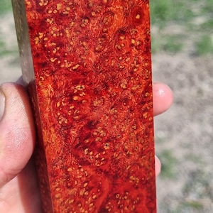 Amboyna Burl Stabilized Wood Knife Handle Blank