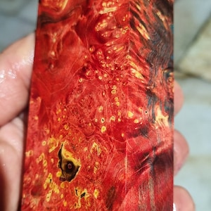 Stabilized maple burl wood M-3
