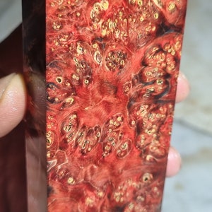 Stabilized maple burl wood  M-7