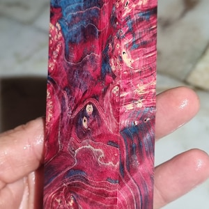 Stabilized maple burl wood M-6
