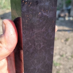 Ebauches de couteaux, ébauche de stylo, loupe d&#39;Amboyna stabilisée, manche de couteau, échelle de couteau, Y-11