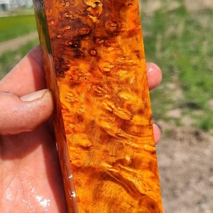 Amboyna Burl Stabilized Wood Knife Handle Blank