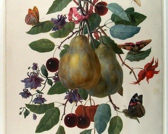 Dorothea Storm-Kreps Twig with Two Pears Note Card | Art from Museum Boijmans Van Beuningen