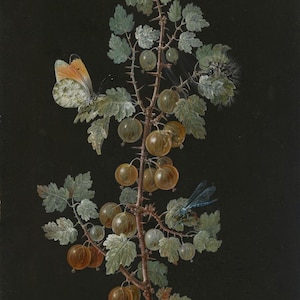 Ramo de Barbara Regina Dietzsch do cartão de nota vazio | Arte da Galeria Nacional de Arte