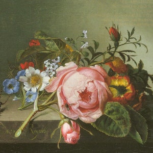 Tarjeta de notas con naturaleza muerta con rama de rosa, escarabajo y abeja de Rachel Ruysch / Arte del Kunstmuseum Basel