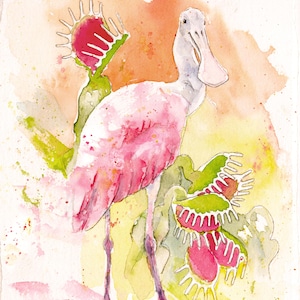 Pode incluir: Pintura em aquarela de um flamingo-rosa rosa com bico e pernas brancas, em pé perto de várias dioneias. O fundo apresenta lavagens em aquarela laranja, amarelo e verde, criando uma cena caprichosa e artística.