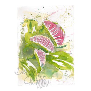 Venus Flytrap Giclee Art Print, Venus Flytrap Painting, Carolina Plant Artwork, Goth Art Decor, Flytrap Watercolor Print, Flytrap Art,