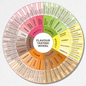 Puede incluir: Una rueda de cata de sabores con secciones para perfiles afrutados, florales, dulces, a nuez, especiados, ahumados, sabrosos y otros. Cada sección tiene subcategorías como bayas, rosa y cacao, con ejemplos específicos.