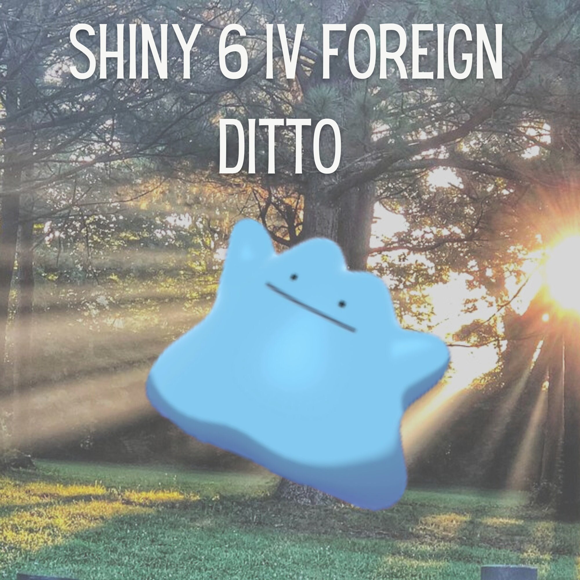 Ditto Shiny 6Ivs, Any Nature, HA, Language, Level 100 - Scarlet and Violet  - PokeFlash