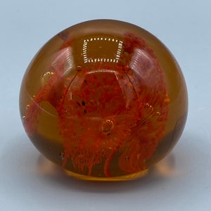 Può includere: Un fermacarte rotondo in vetro ambrato con un fiore arancione essiccato all'interno.