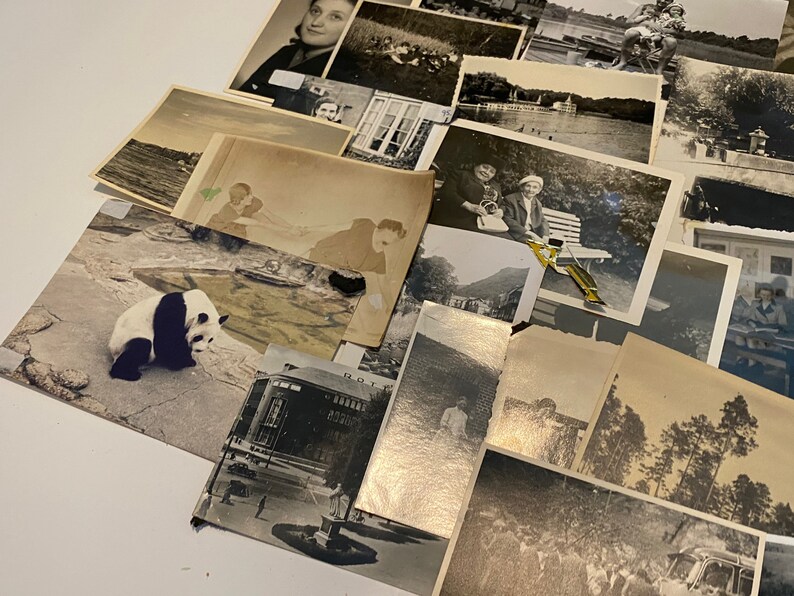 May include: A collection of black and white photographs, some with faded colours, featuring a variety of subjects including a panda bear, a group of people, a building, and a lake.