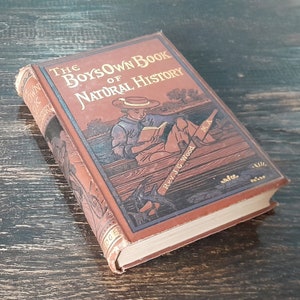 The Boys Own Book of Natutal History, by J.G Wood - Antique Hardback Book